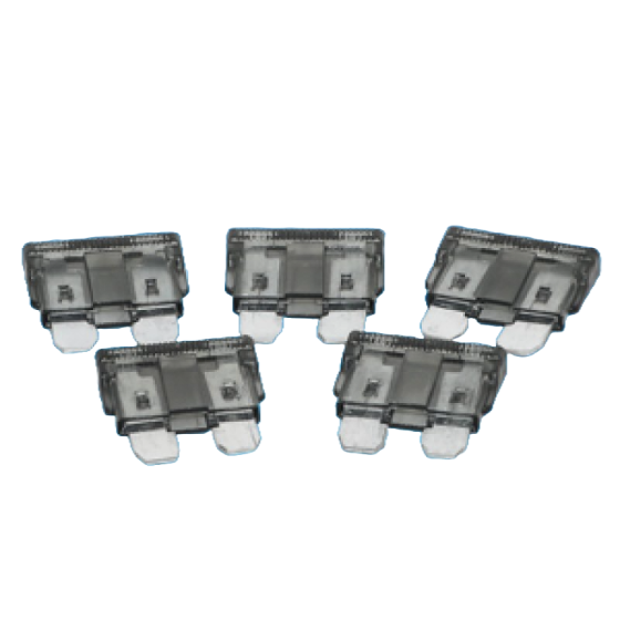 1 Amp Blade Fuse BLACK - 5 Per Pack