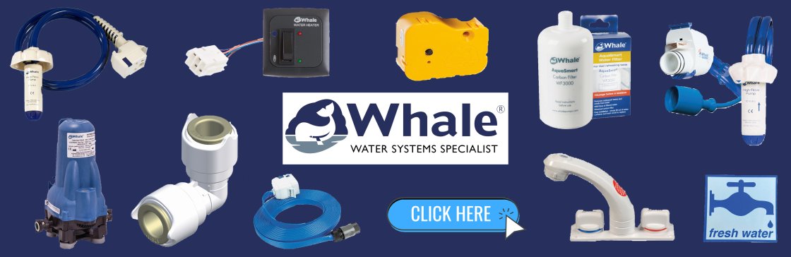 whale products