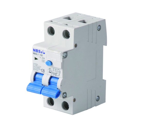 25amp Earth Leakage Breaker - NBSE