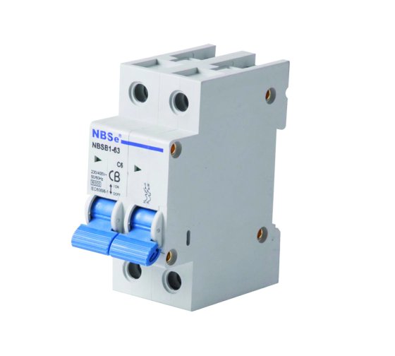 6 Amp Double Pole MCB